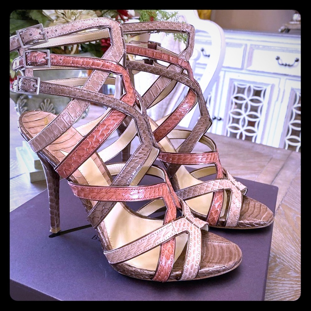 Brian Atwood, Carbinia Brown Multi
